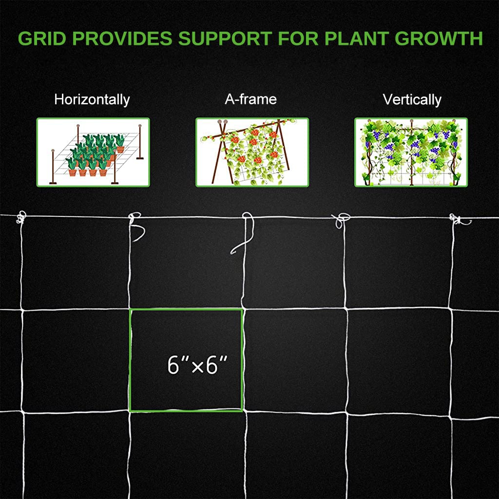 HASTHIP 5*30 ft Creeper Plant Support Net For Agriculture And Gardening, Heavy-Duty Polyester Creepers and Climbers Plants Trellis Netting for Climbing Plants, Vegetables, Fruits, and Flowers HASTHIP 5*30 ft Creeper Plant Support Net For Agriculture And Gardening, Heavy-Duty Polyester Creepers and Climbers Plants Trellis Netting for Climbing Plants, Vegetables, Fruits, and Flowers